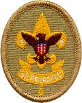 First Class Scout Badge